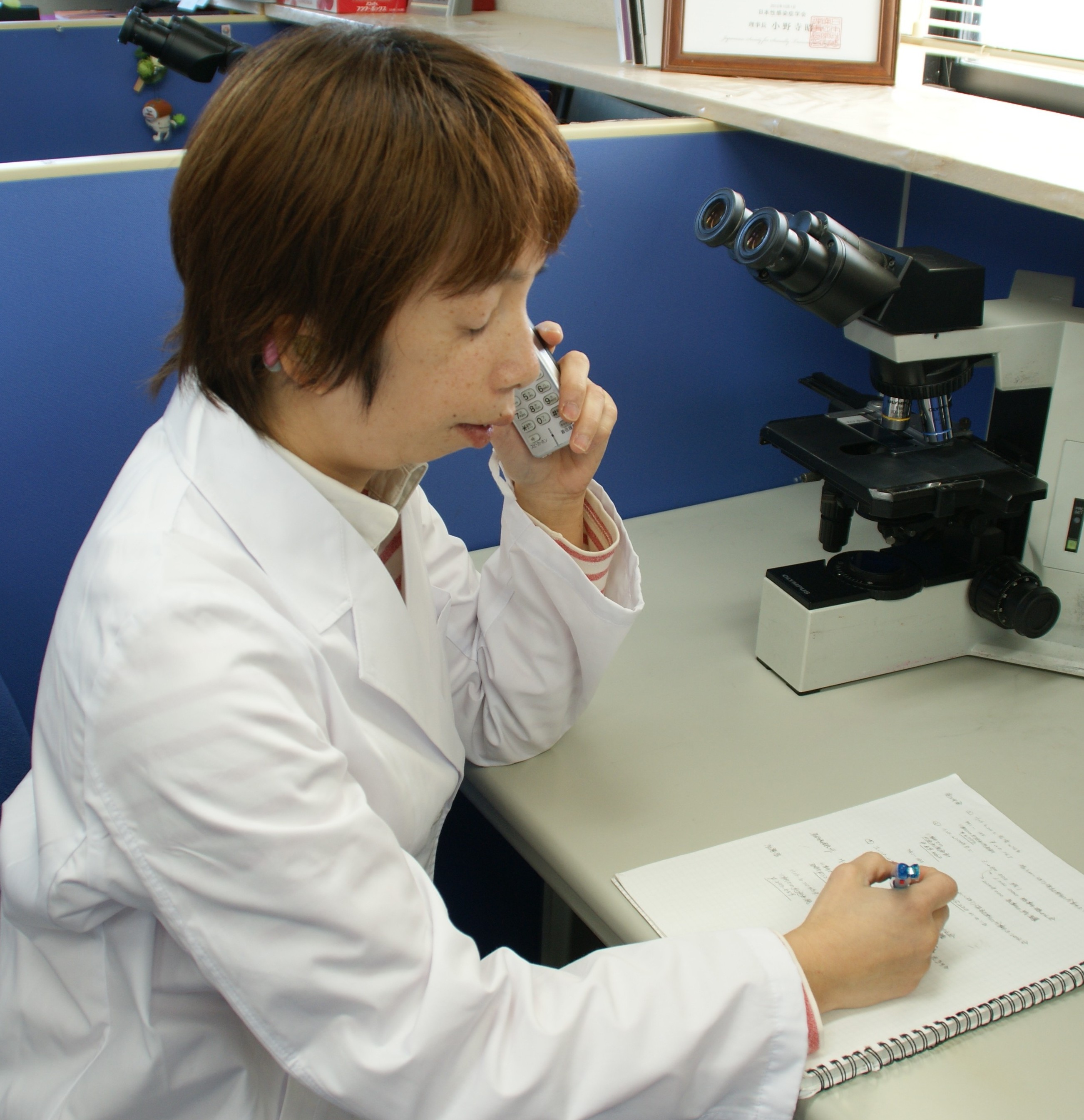 無料相談だから安心です