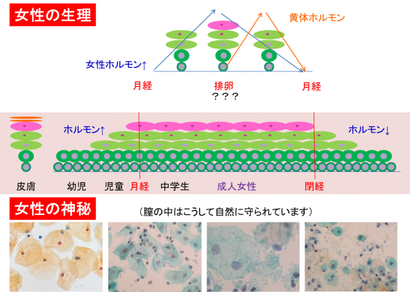 膣内フローラチェック